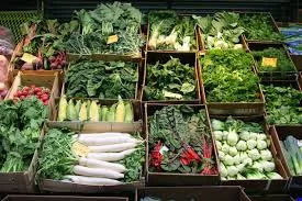 TAB Bank Provides Produce Distribution Company With a $500 Thousand Revolving Credit Facility