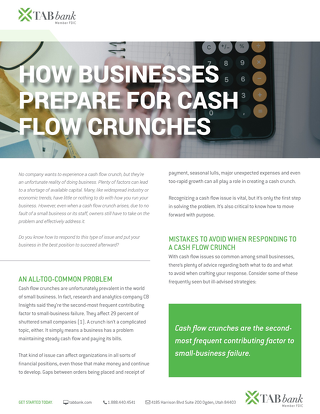 WhitePaper: How Businesses Prepare for Cash Flow Crunches