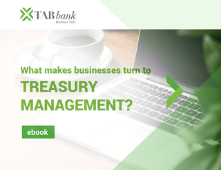 What Makes Businesses Turn to Treasury Management?